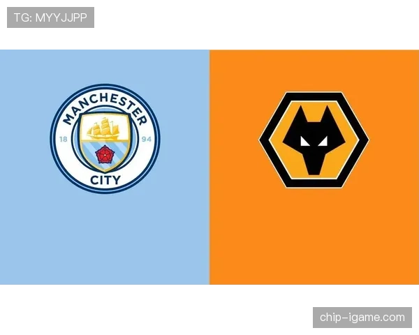 狼队转会策略曝光：聚焦年轻天才，持续补强战力布局未来